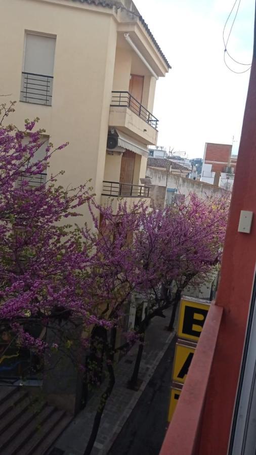 A Centre Apartment Roses
